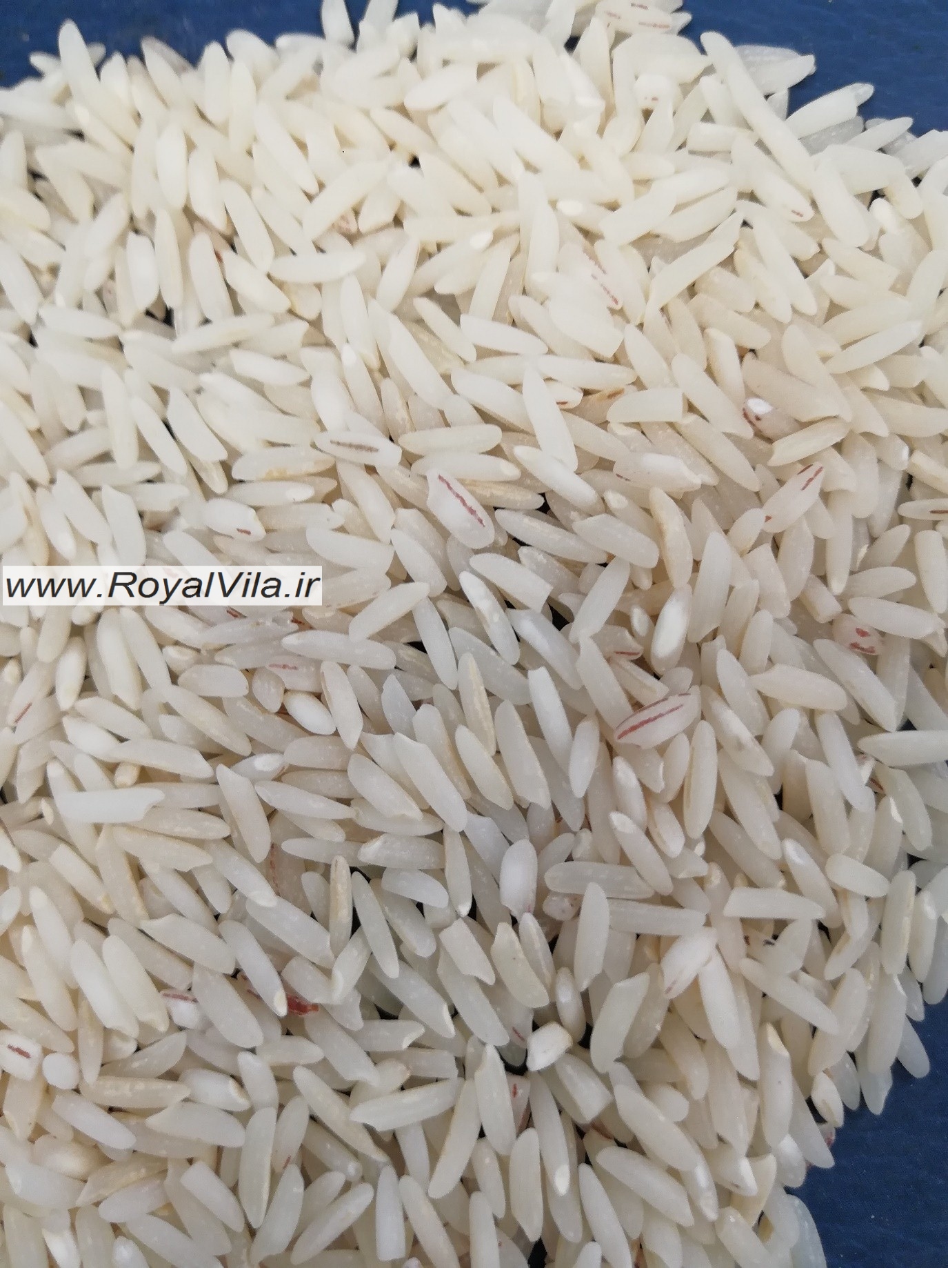 آمل، قطب تولید برنج کشور می باشد